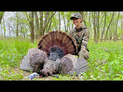 The Most Intimidating Hunt for the Worlds Smartest Bird