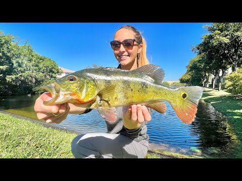 Sneaky Backyard Fishing for Florida s Most EXOTIC