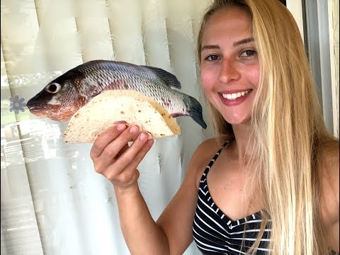 Back To The Roots Mangrove Snapper Tacos