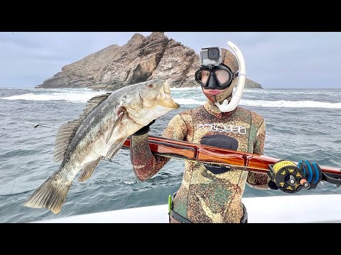 Spearfishing Kelp Forest off California Coronado Islands