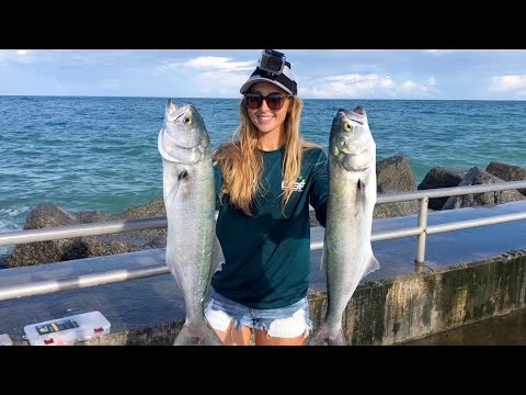 Catching BLUEFISH Off The Pier