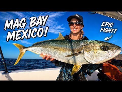 Fishing NONSTOP Action Catching Yellow Tail Octopus