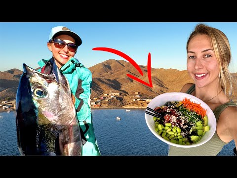 Fishing Yellowfin Tuna in Mag Bay Mexico Poke Bowls Catch