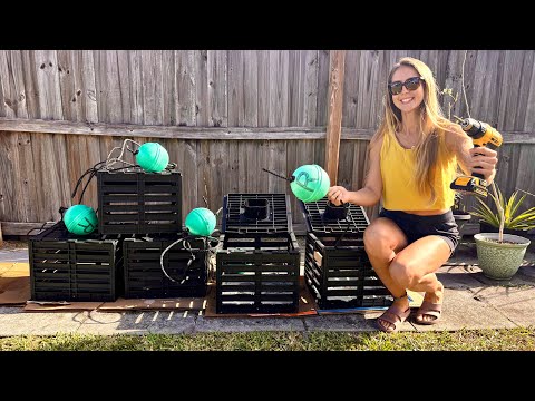 Step by Step How to Build Stone Crab Traps Where to Buy New