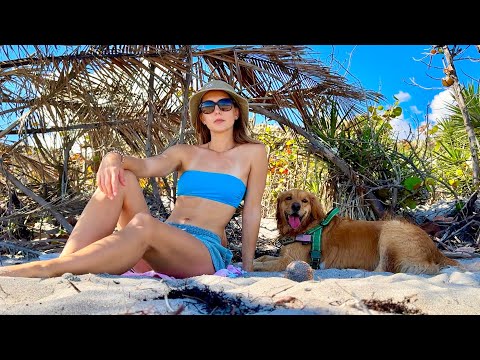 Beach Day with Finley Shark Tooth Hunt Juno Beach Florida