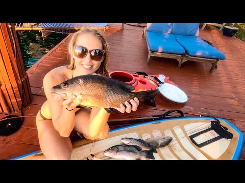 Backyard PADDLE BOARD Spearfishing