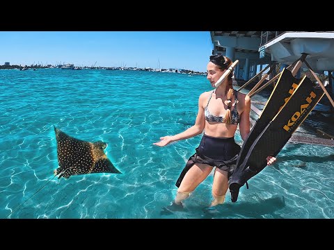 Snorkeling in South Florida No Boat Required Phil Foster