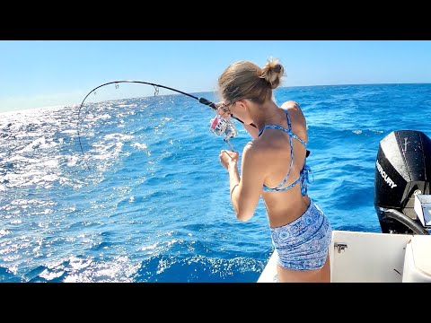 Rough Offshore Seas Catch Clean Cooking My Favorite Way to