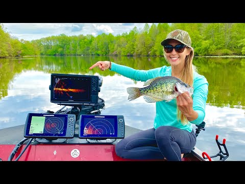 Using LIVE SCOPE to CATCH Real FISH Crappie Fishing