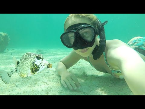 Snorkeling UNDER A LIGHTHOUSE