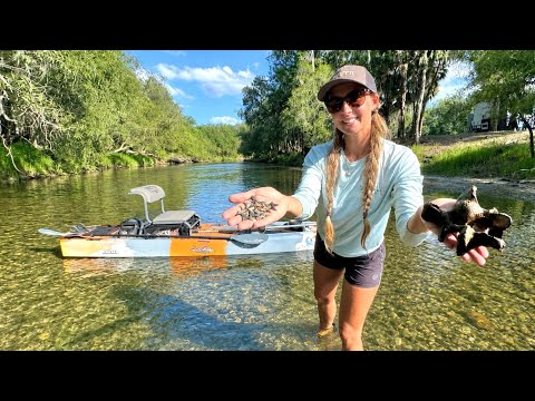 Prehistoric Treasure Hunting in Florida s Ancient River