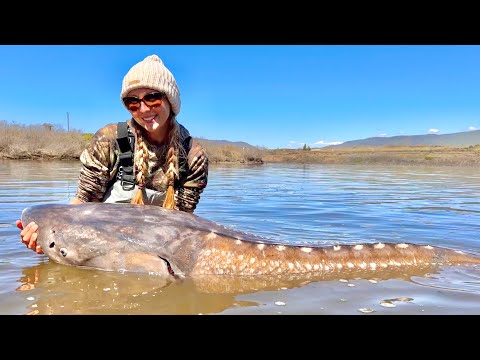 Battling a 10 foot White Sturgeon A True River Monster