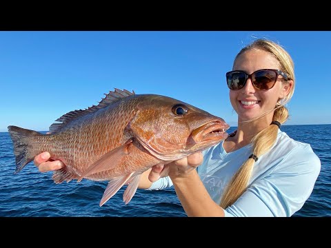 How to FILL The Boat with BIG SNAPPER West Coast of Florida