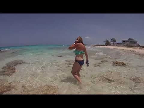 Exploring Bimini 2017