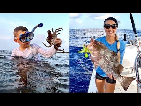 Snorkeling for Cool Creatures Traveling to the Islands