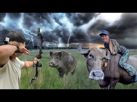 Archery Hog Hunt in Lightning Storm ONE Second to Make a