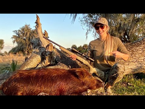 How to Spot Stalk a WILD Hog