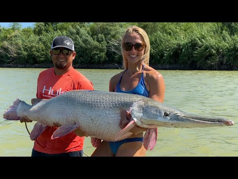 ALLIGATOR GAR in the RIO GRANDE RIVER on Mexican Border