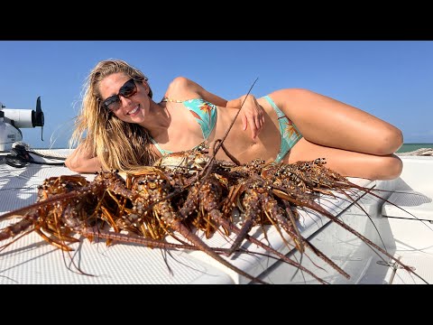 Hand Catching 30 Lobster To Fill The Boat Catch Clean