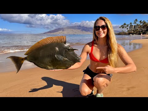 Surf Donuts Spearfishing off the Beach Catch Cook Unicorn