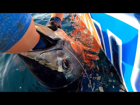 Fishing the WICKED TUNA Stomping Grounds 700lb Blue Fin Tuna