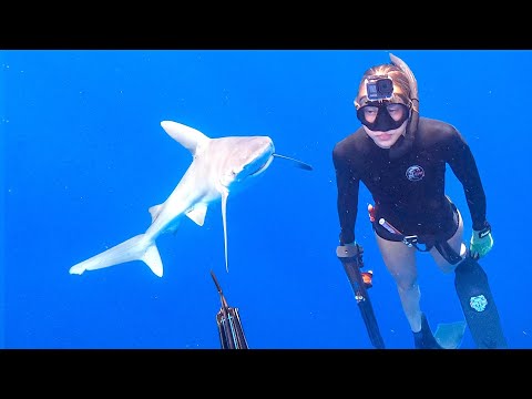Sketchy SPEARFISHING Surrounded by SHARKS
