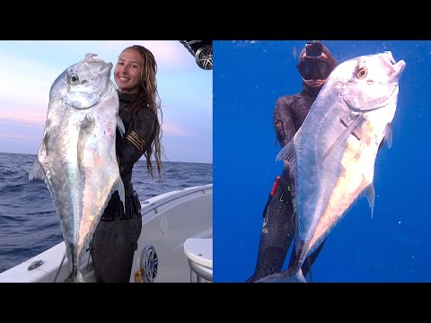 FINALLY Speared This Fish African Pompano
