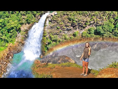 Waterfalls Wild Coffee Plants Comuna 13 Pablo Escobar