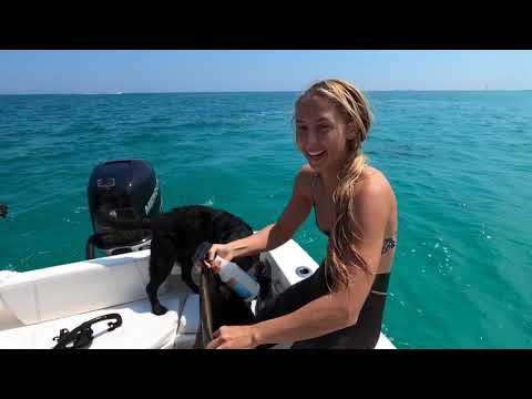 Swimming with TARPON Manta Ray Off the Beach
