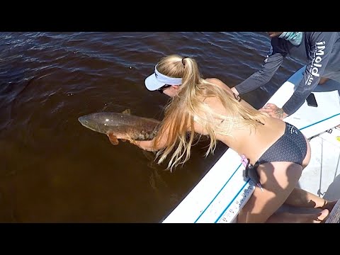 Over Slot Red Fish Sailfish Some Inshore Fishing