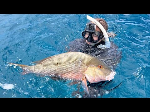 Spearing My First Mutton SNAPPER in Crystal Clear Waters