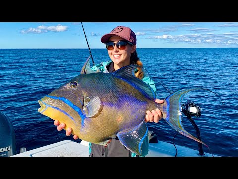 Exotic TRIGGER Fishing Catch Cook Introducing My PET