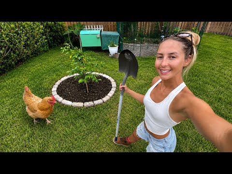 Renovating My Backyard But I Have Bad News