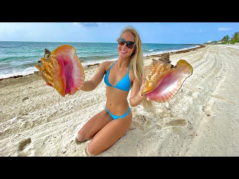 How to Catch Clean Cook CONCH Running on Island Time