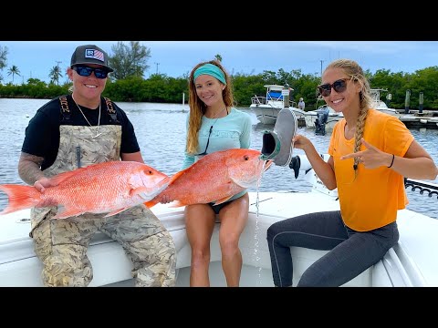 CATCHING American RED SNAPPER Last day of Season
