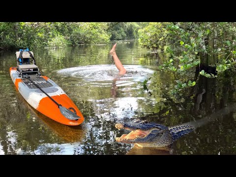 Dropped my Phone off the Kayak into Alligator Infested