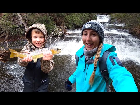 Making our own TRAIL in the Woods CREEK Fishing for Brown