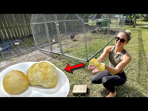 Cooking Lions Mane MUSHROOMS Building a HUGE Chicken Cage