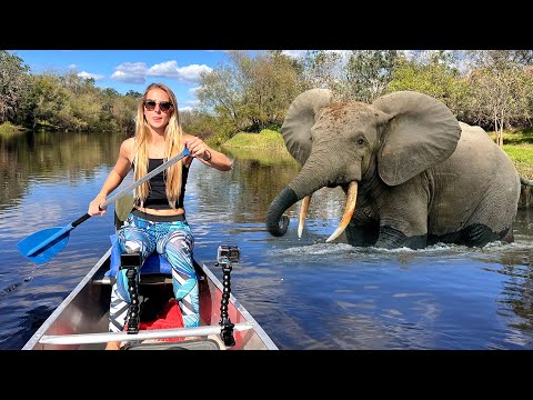 Paddling through the RIVER with African Elephants Travel