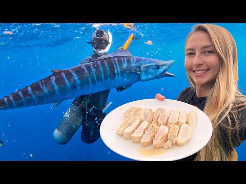 Learning to Swim Again Wahoo Spear Sear
