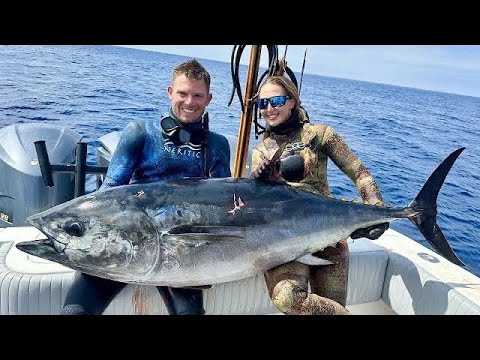 SPEARING a ONCE in a LIFETIME 191lb Blue Fin Tuna