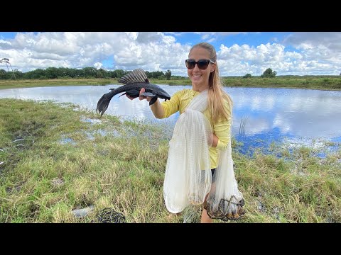 How to CAST NET Fish in POND with predators
