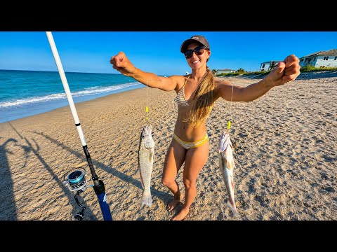 We Caught 4 Species SURF FISHING Catch Clean Cook