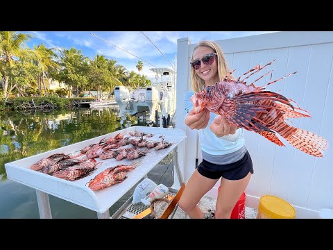 Going Deep to Spear Venomous Non Native Fish you don t want