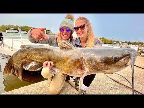 Catching a Monster Catfish in the Marina The Great Lakes
