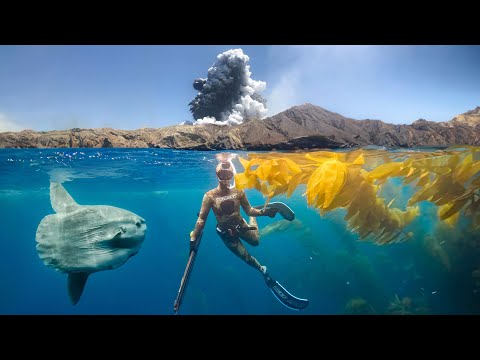 Explosion while Snorkeling off Navy Island Calico Bass