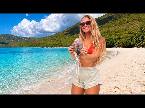 Exploring Remote Beaches to Spearfish on Island Squid Catch