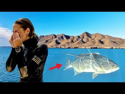Things Could of Gone BAD Spearfishing Mag Bay Mexico