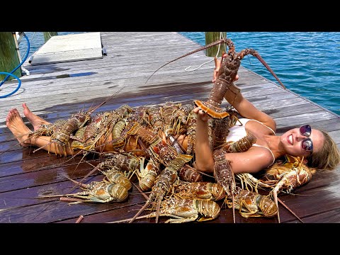How to Bully Net 100 s of Lobster Limited out