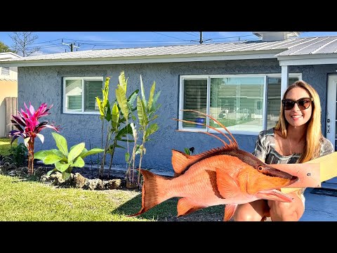 Home Day Vlog Garden Transformation Trophy Hogfish Pickup
